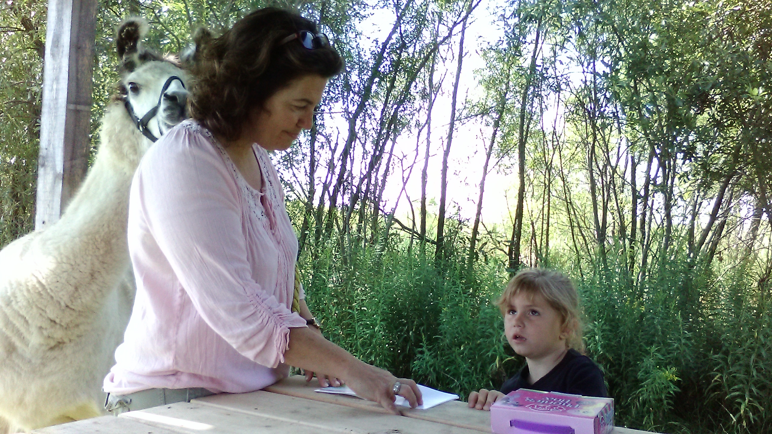 Photo of Nature's Edge Director Becky Payne with a young female patient reading a paper outside at a picnic table with a llama looking on in the background.